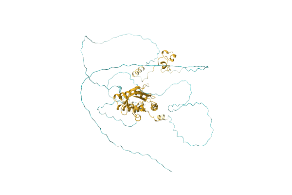 AF-D8Q8R5-F1 image