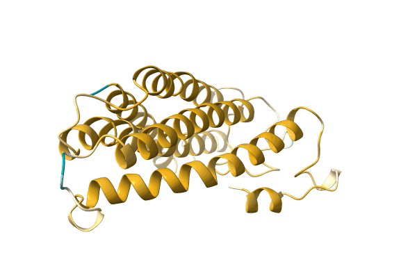 AF-D9LQN0-F1 image