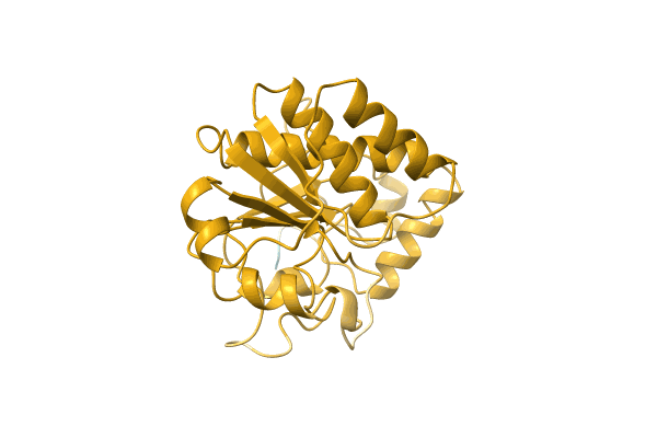 AF-E9HCD7-F1 image
