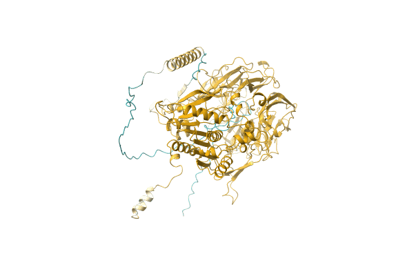 AF-F0U7H7-F1 image