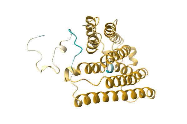 AF-F2XGD3-F1 image