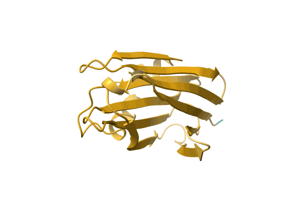 AF-F2Z266-F1 image