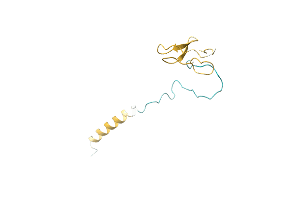 AF-F4RBY2-F1 image