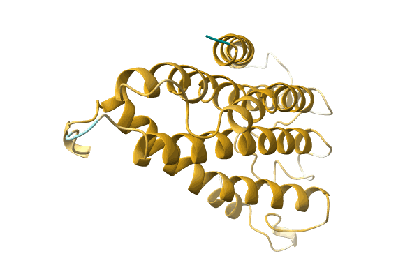 AF-F4YMA3-F1 image