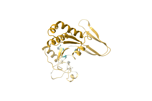 AF-F8T9Q9-F1 image