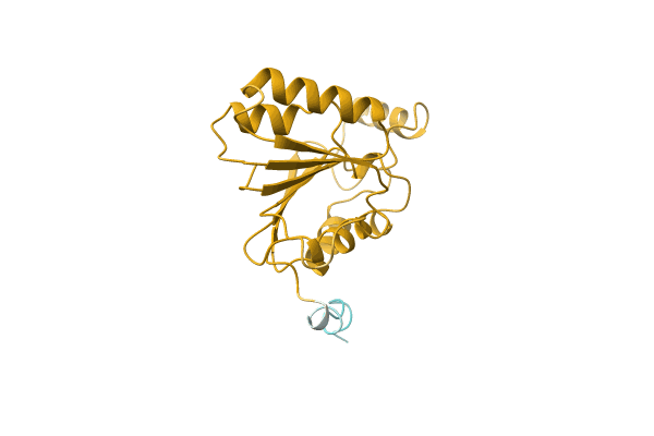 AF-G3XNF3-F1 image