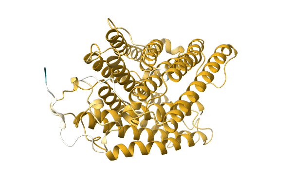 AF-G8Z964-F1 image