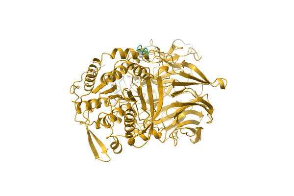 AF-H2E7Q7-F1 image