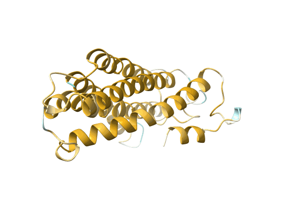 AF-H6TNH9-F1 image