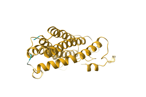 AF-H6XRW0-F1 image