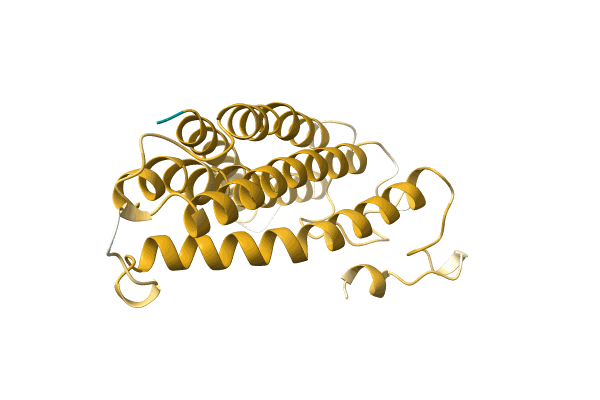 AF-H6YSS6-F1 image
