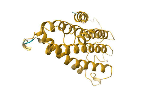AF-H6Z2J3-F1 image