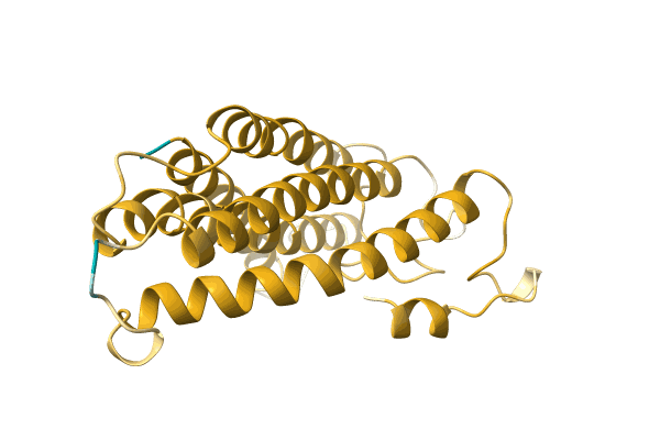 AF-H6ZF25-F1 image