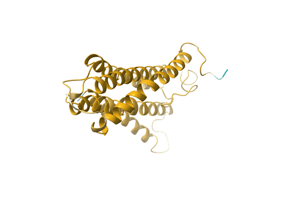 AF-H6ZPV2-F1 image