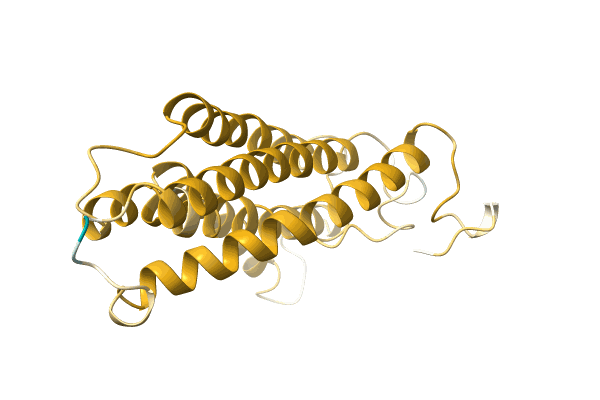 AF-H7ALQ6-F1 image