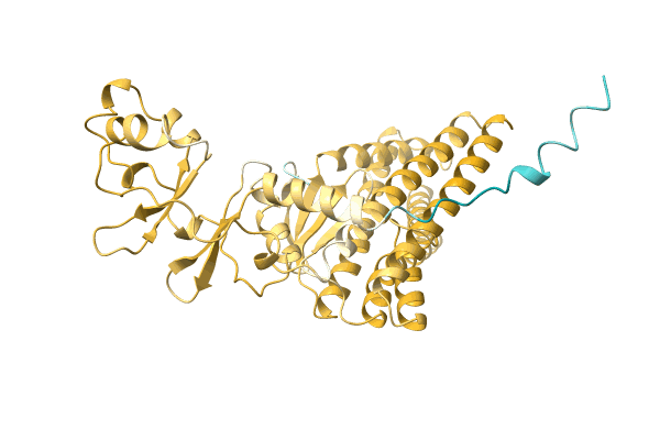 AF-H8EUF2-F1 image