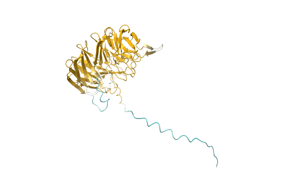 AF-H9L451-F1 image