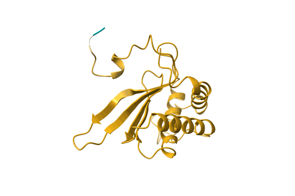 AF-I0JJR3-F1 image