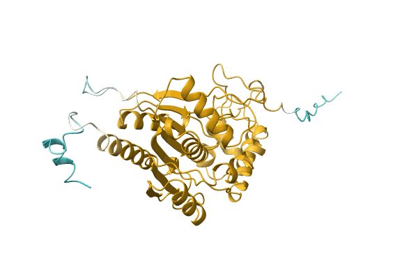 AF-K0KSN3-F1 image