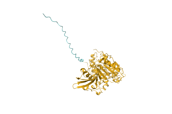 AF-K5XDZ6-F1 image