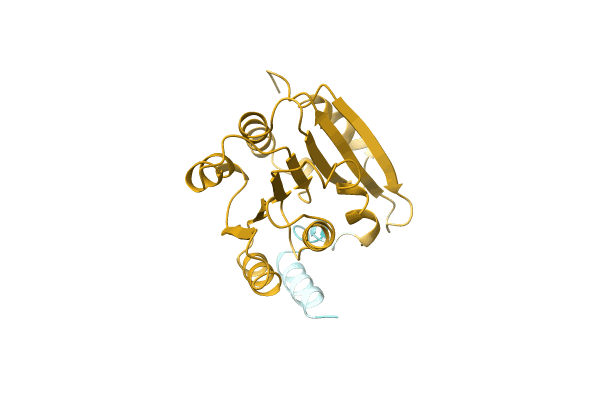 AF-L0D9B6-F1 image