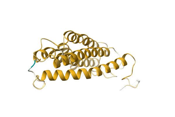AF-L0LD15-F1 image