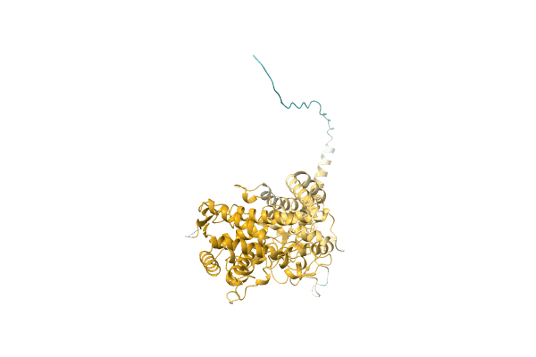 AF-L0MXJ1-F1 image