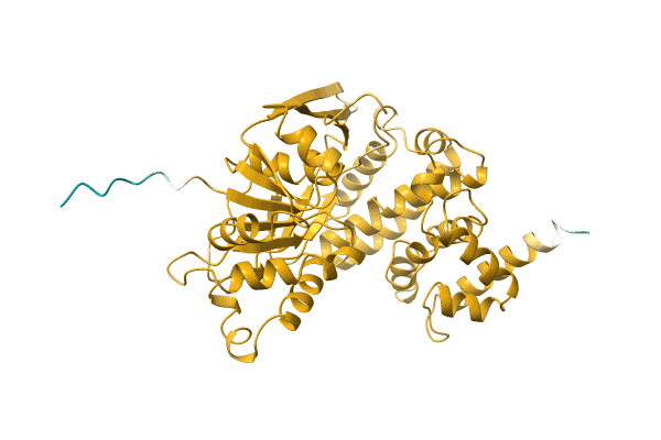 AF-L7IBL2-F1 image