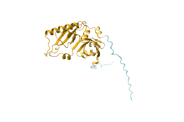 AF-L7IK19-F1 image