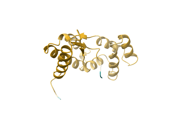 AF-L7R2Y3-F1 image