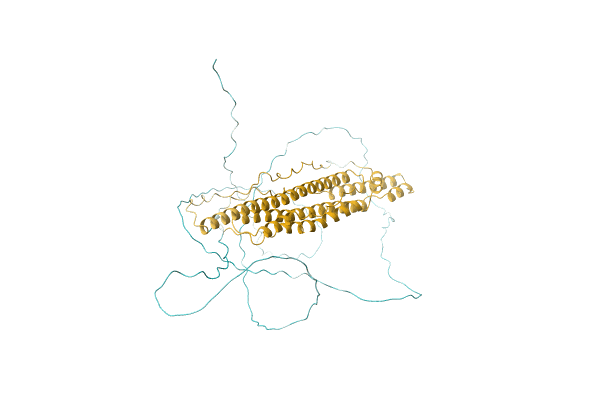 AF-L8FKX3-F1 image