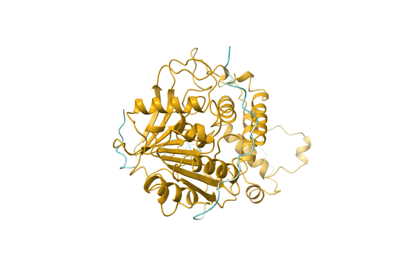 AF-M0GNC6-F1 image