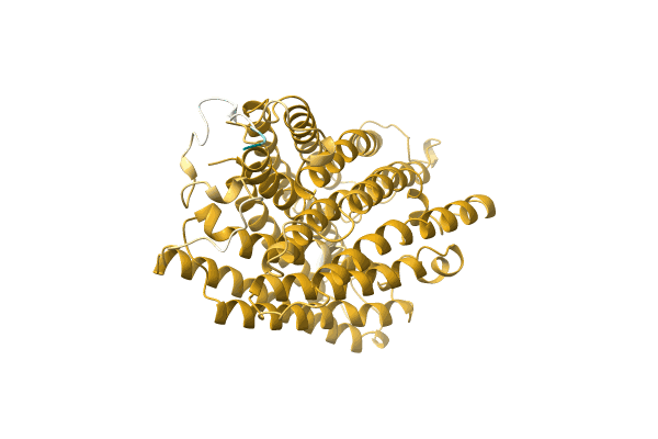 AF-M1VSK3-F1 image