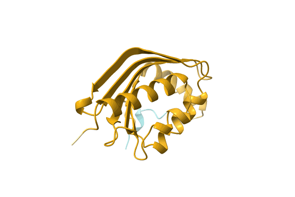 AF-M1VWN3-F1 image