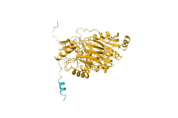 AF-M1W0X9-F1 image