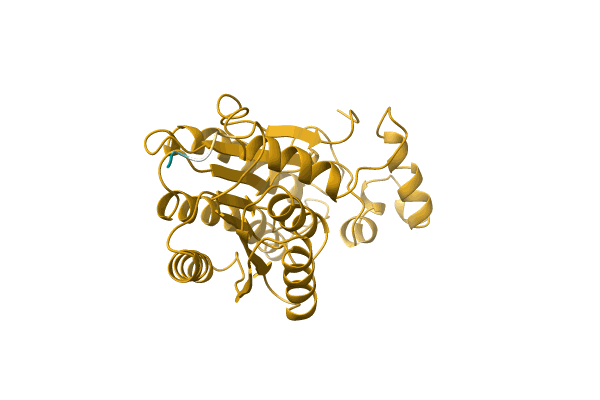 AF-M1W270-F1 image