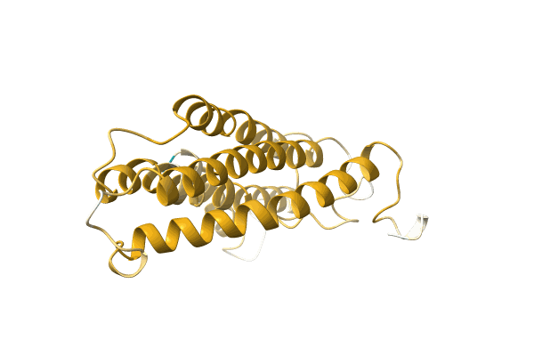 AF-M4GZ17-F1 image