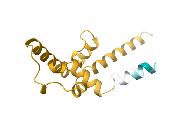 AF-M9RZ95-F1 image