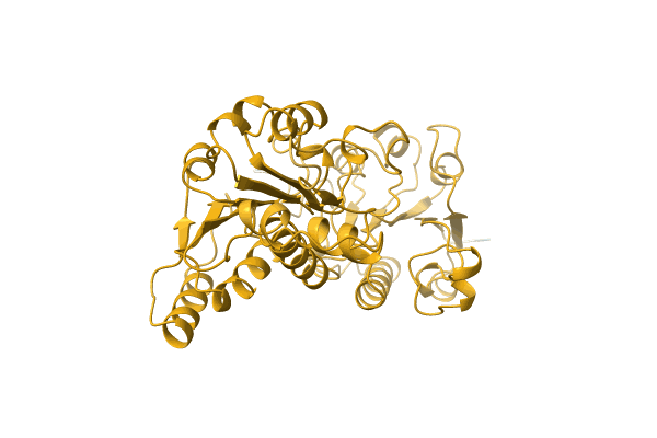 AF-N1P3Y5-F1 image
