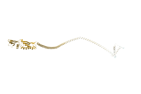 AF-O13127-F1 image