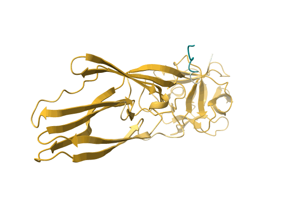 AF-O18424-F1 image