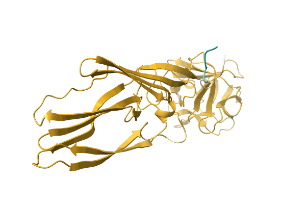 AF-O18425-F1 image