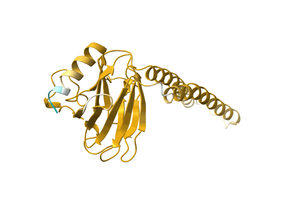 AF-O21400-F1 image