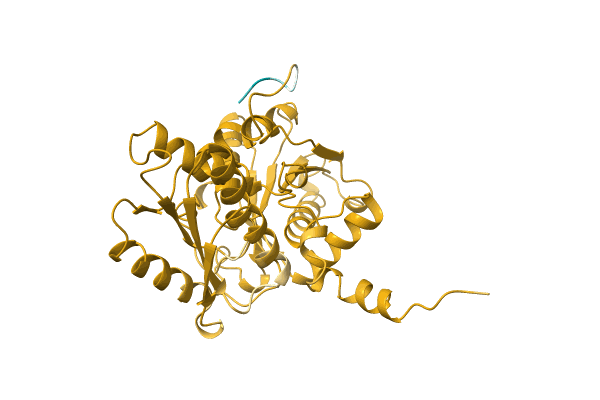 AF-O23735-F1 image