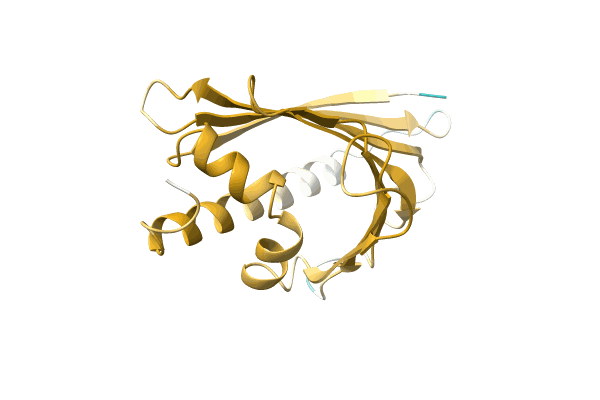 AF-O24248-F1 image