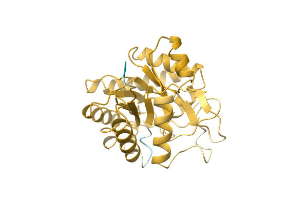 AF-O30444-F1 image