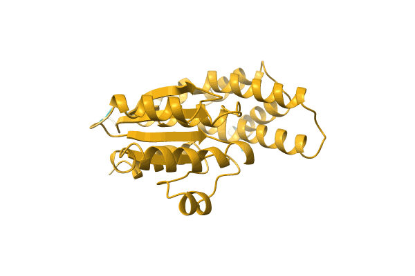 AF-O30641-F1 image
