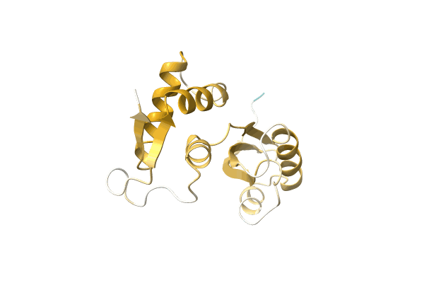 AF-O32613-F1 image
