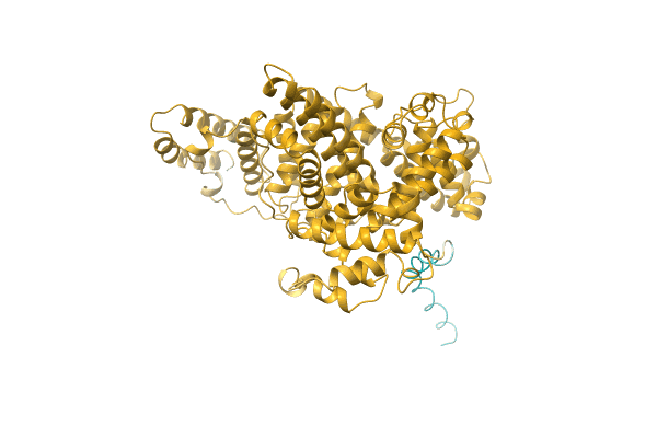AF-O35090-F1 image