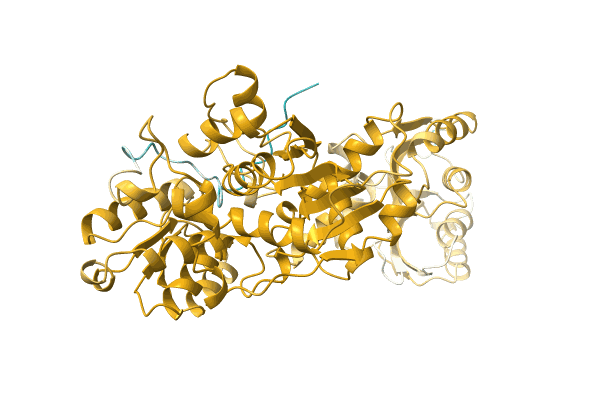 AF-O42615-F1 image
